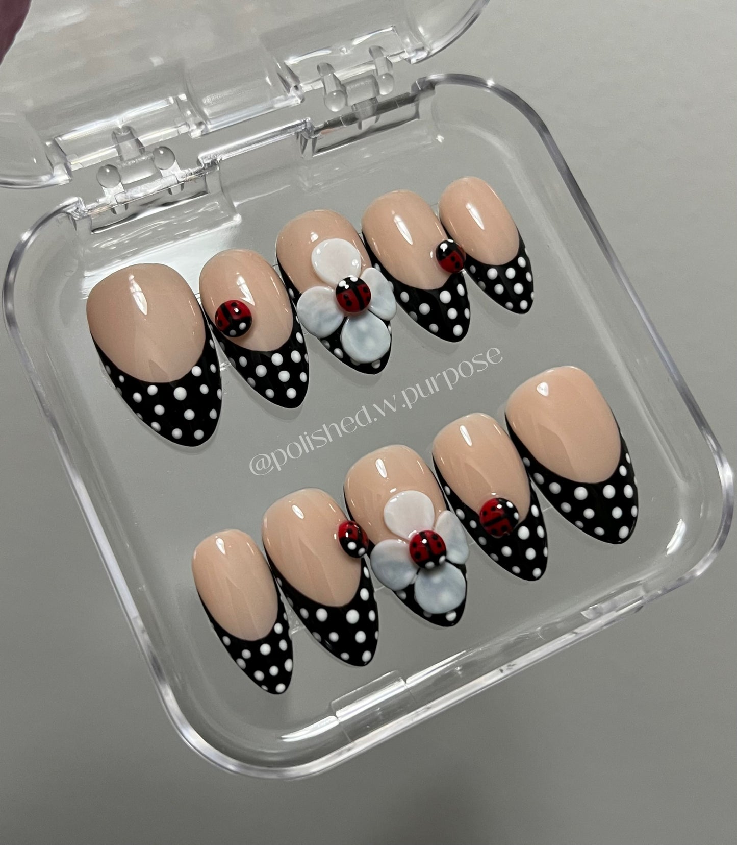 LadyBug
