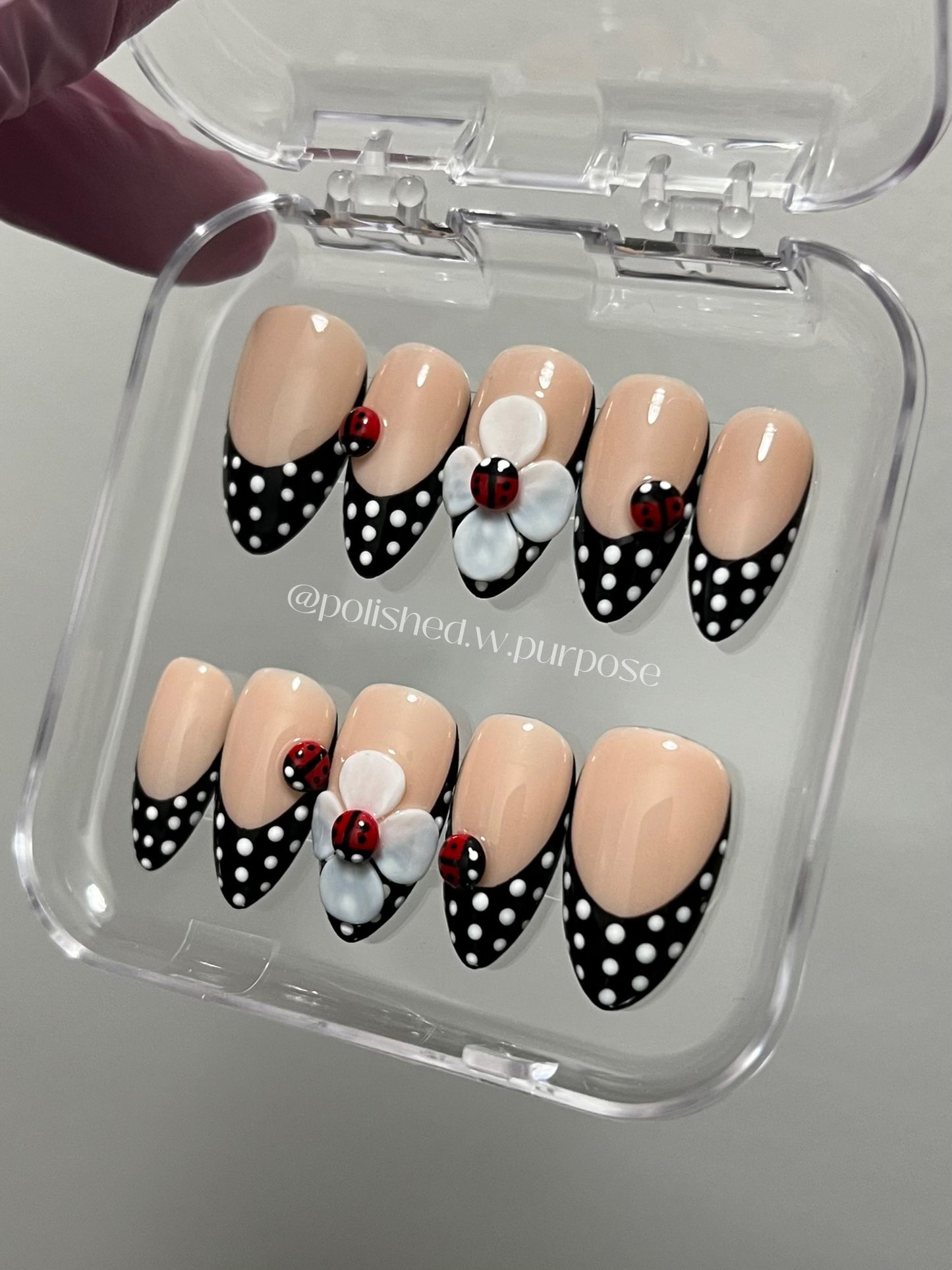 LadyBug