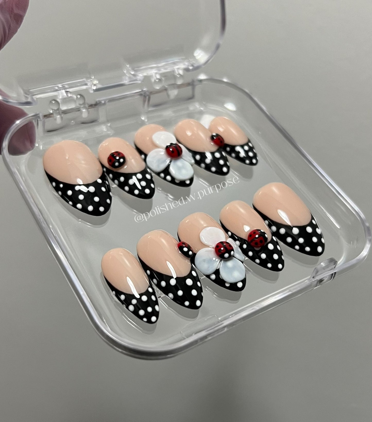 LadyBug